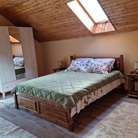 Vila Lac Holiday home *