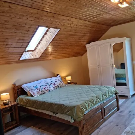 Vila Lac Holiday home *