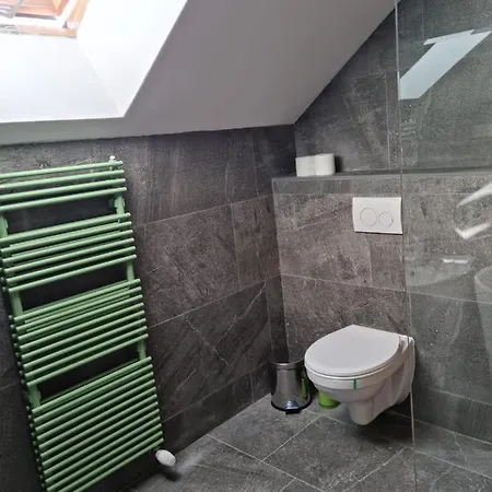 Holiday home Vila Lac Brasov