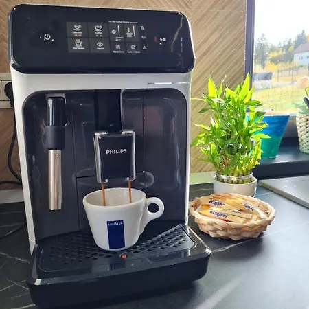 Vila Lac Holiday home Brasov
