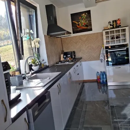 Holiday home Vila Lac