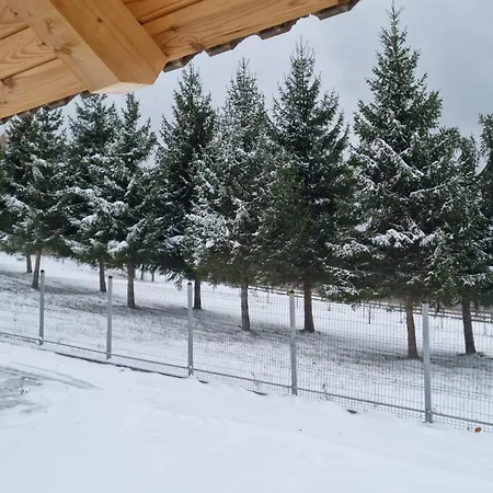 Vila Lac Holiday home *