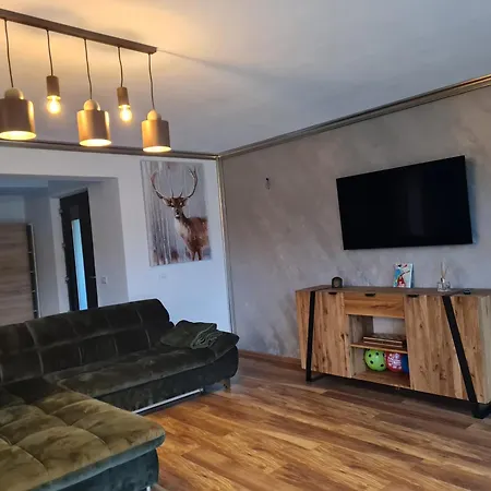 Vila Lac Holiday home *
