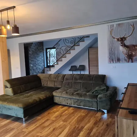 Vila Lac Holiday home *